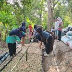 Belajar dari Alam: Pelatihan Jamur di Kebun Bangkitkan Semangat Perempuan PEKKA