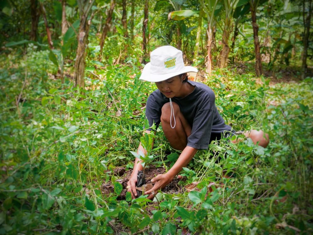 fesol sedang menanam bunga santos lemon di kebun